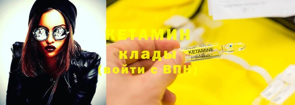 стаф Аркадак