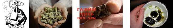 стаф Аркадак