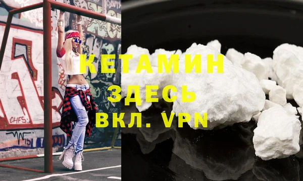 стаф Аркадак