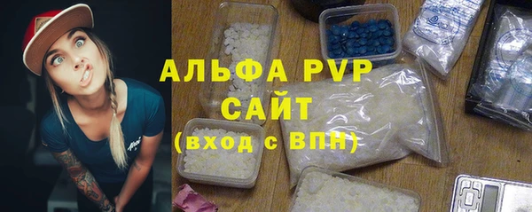 стаф Аркадак